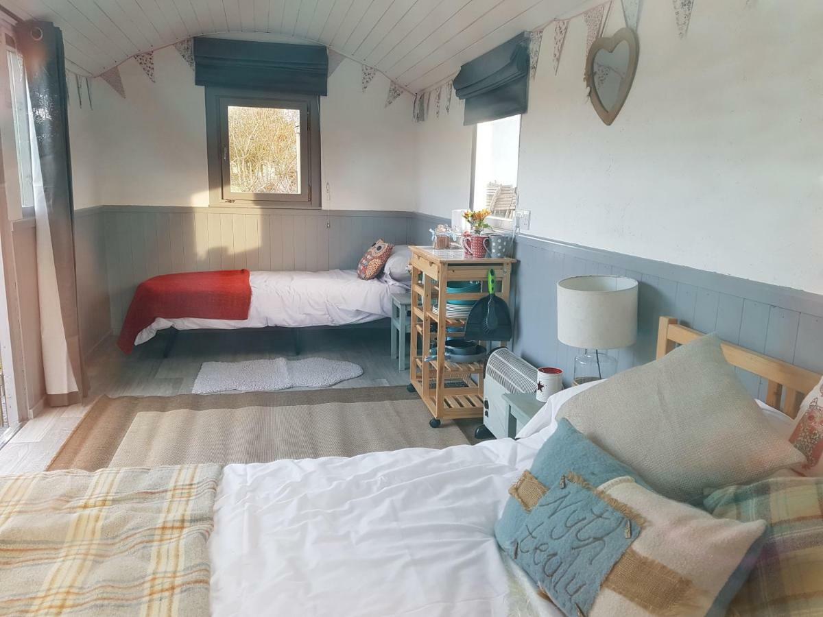 Acorn Camping And Caravan Park Ллантвіт-Мейджор Екстер'єр фото